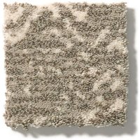 DSW.TANZANIA Tuftex Tanzania Carpet