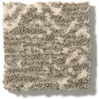 DSW.TANZANIA Tuftex Tanzania Carpet