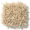 DSW.SERENADE Tuftex Stainmaster Serenade Carpet