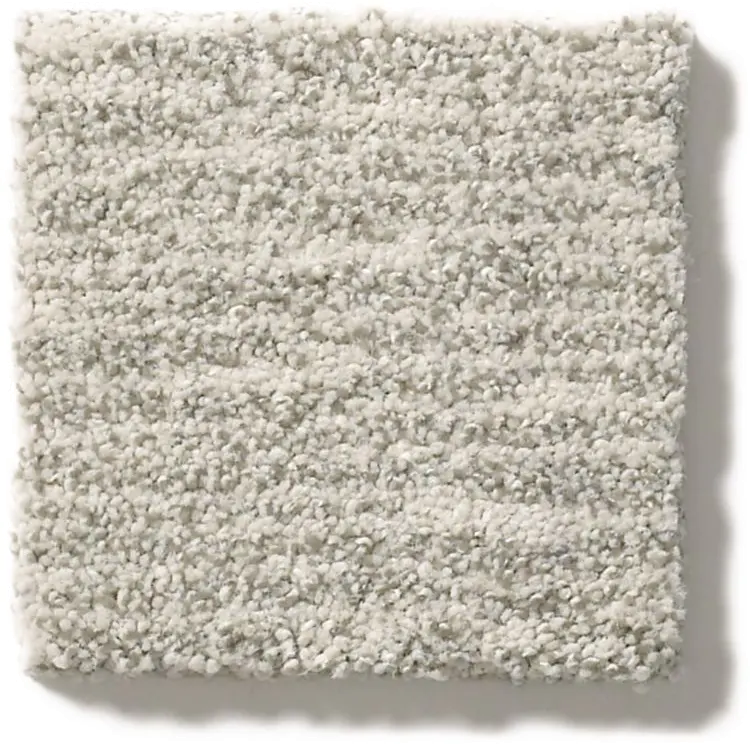 DSW.NEW.WAVE Tuftex New Wave Carpet-1