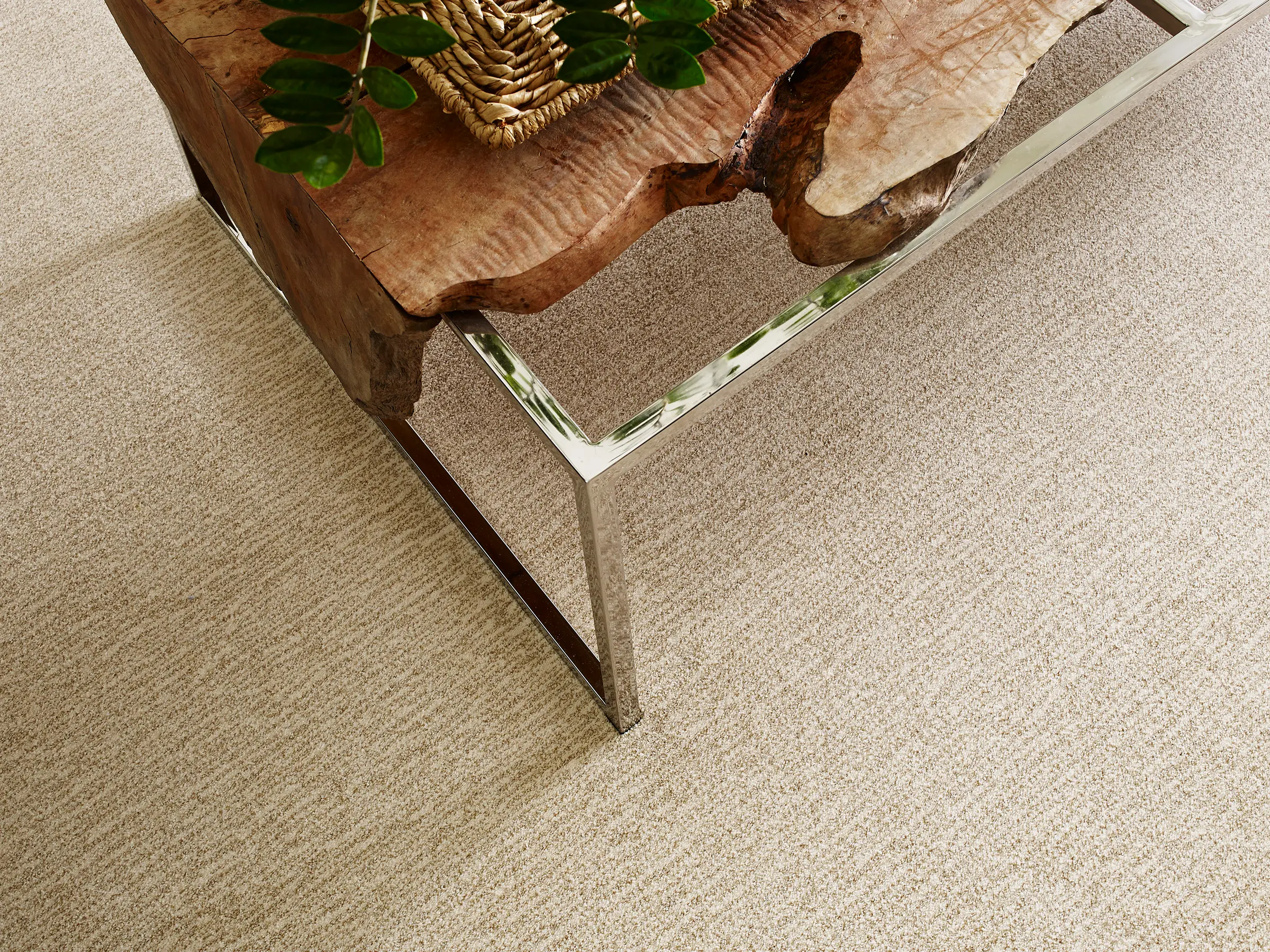 DSW.NEW.WAVE Tuftex New Wave Carpet-2