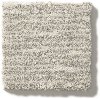 DSW.NEW.WAVE Tuftex Stainmaster New Wave Carpet