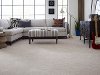 Tuftex Stainmaster Rythmic Carpet-2