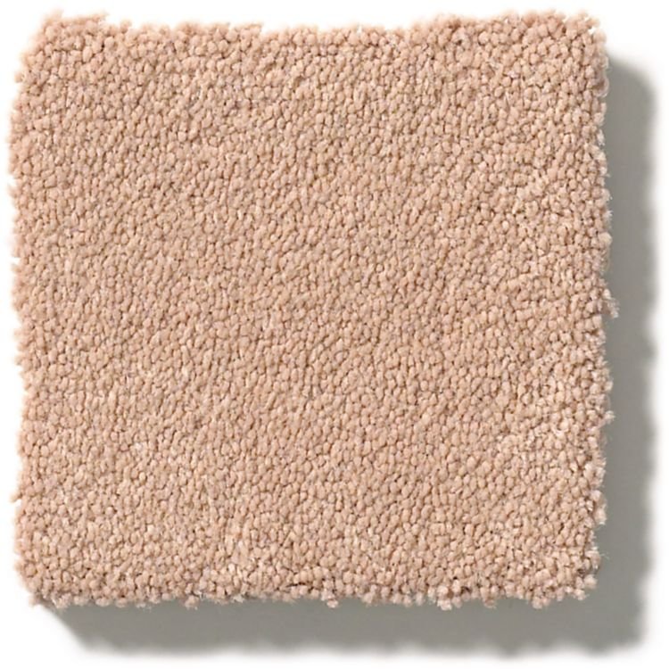 DSW.PERFECT.CHOICE Tuftex Perfect Choice Carpet-1