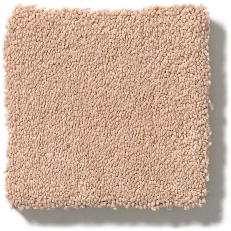 DSW.PERFECT.CHOICE Tuftex Perfect Choice Carpet-1