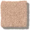DSW.PERFECT.CHOICE Tuftex Perfect Choice Carpet