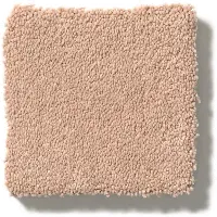 DSW.PERFECT.CHOICE Tuftex Perfect Choice Carpet