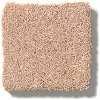 DSW.PERFECT.CHOICE Tuftex Stainmaster Perfect Choice Carpet