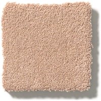 Tuftex Stainmaster Perfect Choice Carpet