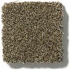 DSW.FAIR.ISLE Tuftex Stainmaster Fair Isle Carpet