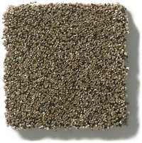 Tuftex Stainmaster Fair Isle Carpet