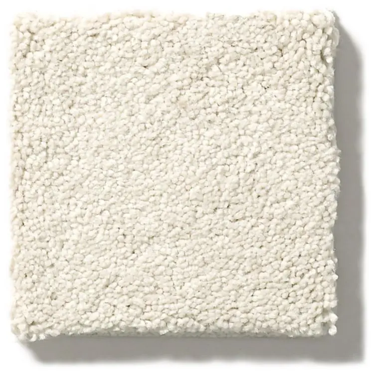 DSW.SECOND.GLANCE Tuftex Second Glance Carpet-1