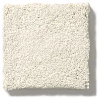 DSW.SECOND.GLANCE Tuftex Second Glance Carpet