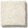 DSW.SECOND.GLANCE Tuftex Stainmaster Second Glance Carpet