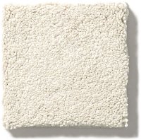 Tuftex Stainmaster Second Glance Carpet