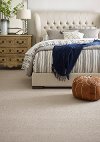 Tuftex Stainmaster Second Glance Carpet-2