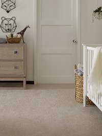 DSW.SERENITY.COVE Tuftex Stainmaster Serenity Cove Carpet-2