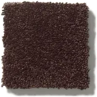 DSW.CLASSIC.BEAUTY Tuftex Classic Beauty Carpet