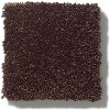 DSW.CLASSIC.BEAUTY Tuftex Stainmaster Classic Beauty Carpet