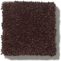 Tuftex Stainmaster Classic Beauty Carpet