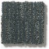 DSW.POUNCE Tuftex Stainmaster Pounce Carpet