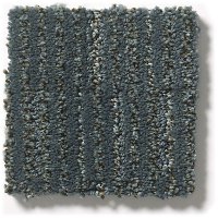 Tuftex Stainmaster Pounce Carpet