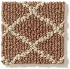 DSW.SPRINGERS.POINT Tuftex Springers Point Carpet
