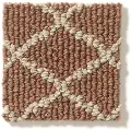 DSW.SPRINGERS.POINT Tuftex Springers Point Carpet