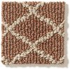 DSW.SPRINGERS.POINT Tuftex Stainmaster Springers Point Carpet