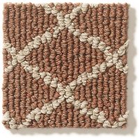 Tuftex Stainmaster Springers Point Carpet