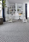Tuftex Stainmaster Springers Point Carpet -2