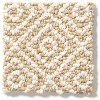 DSW.STROLL Tuftex Stainmaster Stroll Carpet