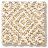 Tuftex Stainmaster Stroll Carpet