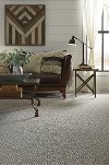 Tuftex Stainmaster Stroll Carpet-2