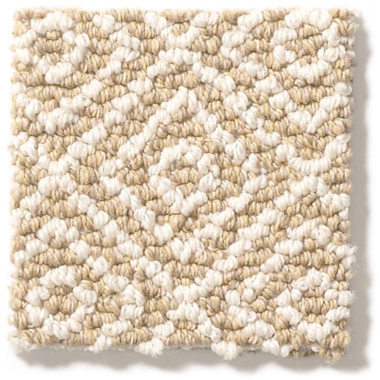 DSW.STROLL Tuftex Stroll Carpet-1