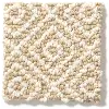 DSW.STROLL Tuftex Stroll Carpet