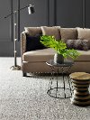 Tuftex Aspen Creek Carpet-2