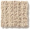 DSW.PARK.WEST Tuftex Park West Carpet