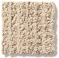 Tuftex Park West Carpet