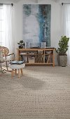 Tuftex Park West Carpet-2