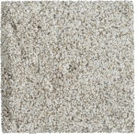 Karastan Limited Style Carpet