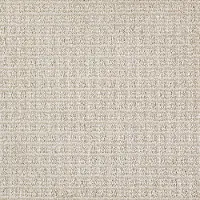 KAR.STRENGTH Karastan Strength Carpet