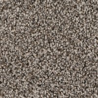PHN.ZEUS.STOCK Phenix Stainmaster Zeus Carpet