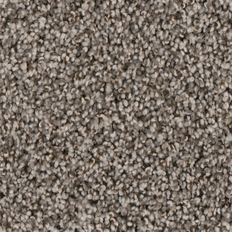 stainmaster carpet