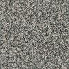 PHN.FASCINATION Phenix Stainmaster Fascination Carpet