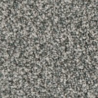 Phenix Stainmaster Fascination Carpet