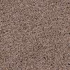 PHN.SHORELINE Phenix Stainmaster Shoreline Carpet