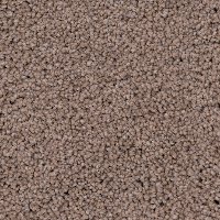 Phenix Stainmaster Shoreline Carpet