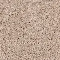 HPN.COASTAL,MD Phenix Coastal Carpet