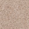 PHN.COASTAL Phenix Stainmaster Coastal Carpet